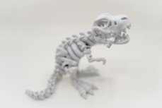 T-Rex kostra